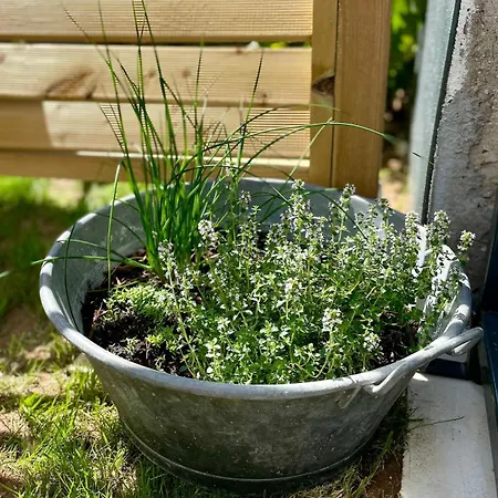 Les Baignassouts 4 Personnes Proche Royan Et Plages Сasa de vacaciones *