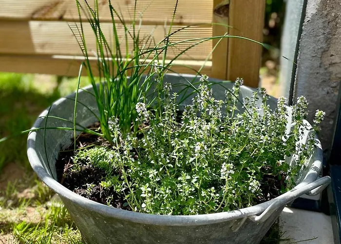 Les Baignassouts 4 Personnes Proche Royan Et Plages Ferienhaus *